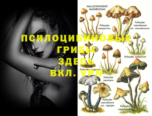 бутират Абинск